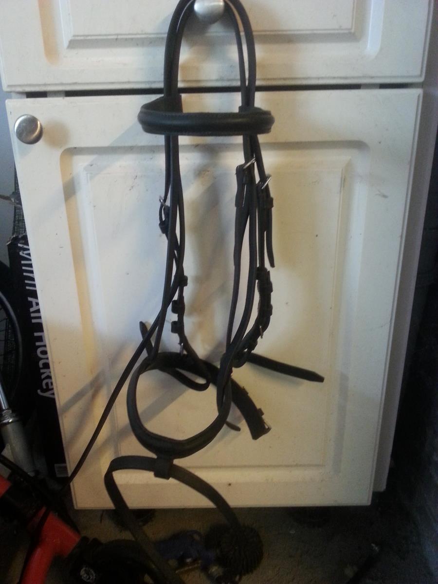 Hoofdstellen + frontriemen te koop