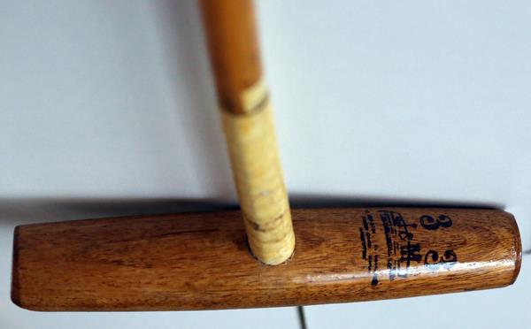 5 Polo mallets en 3 rijzwepen