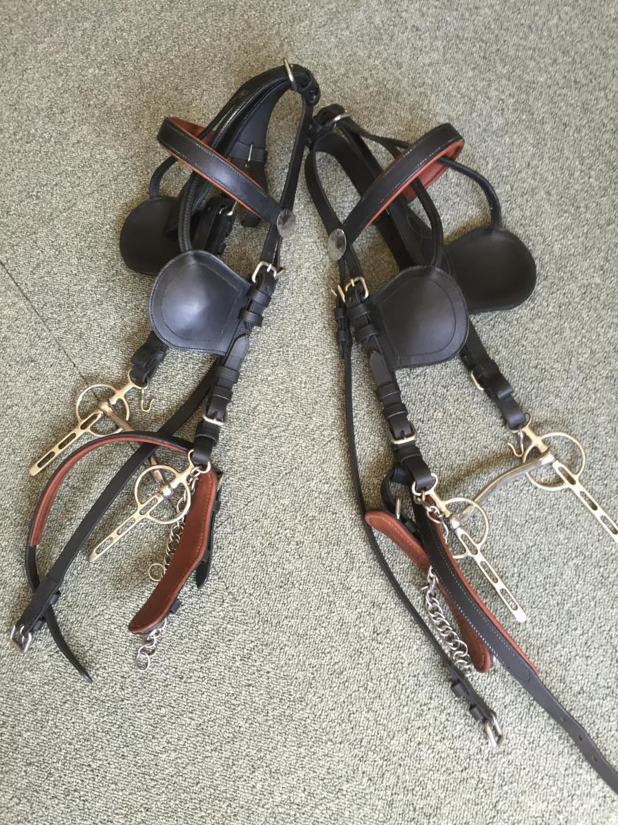 Twee span Ideal Cop Tuig z.g.a.n.