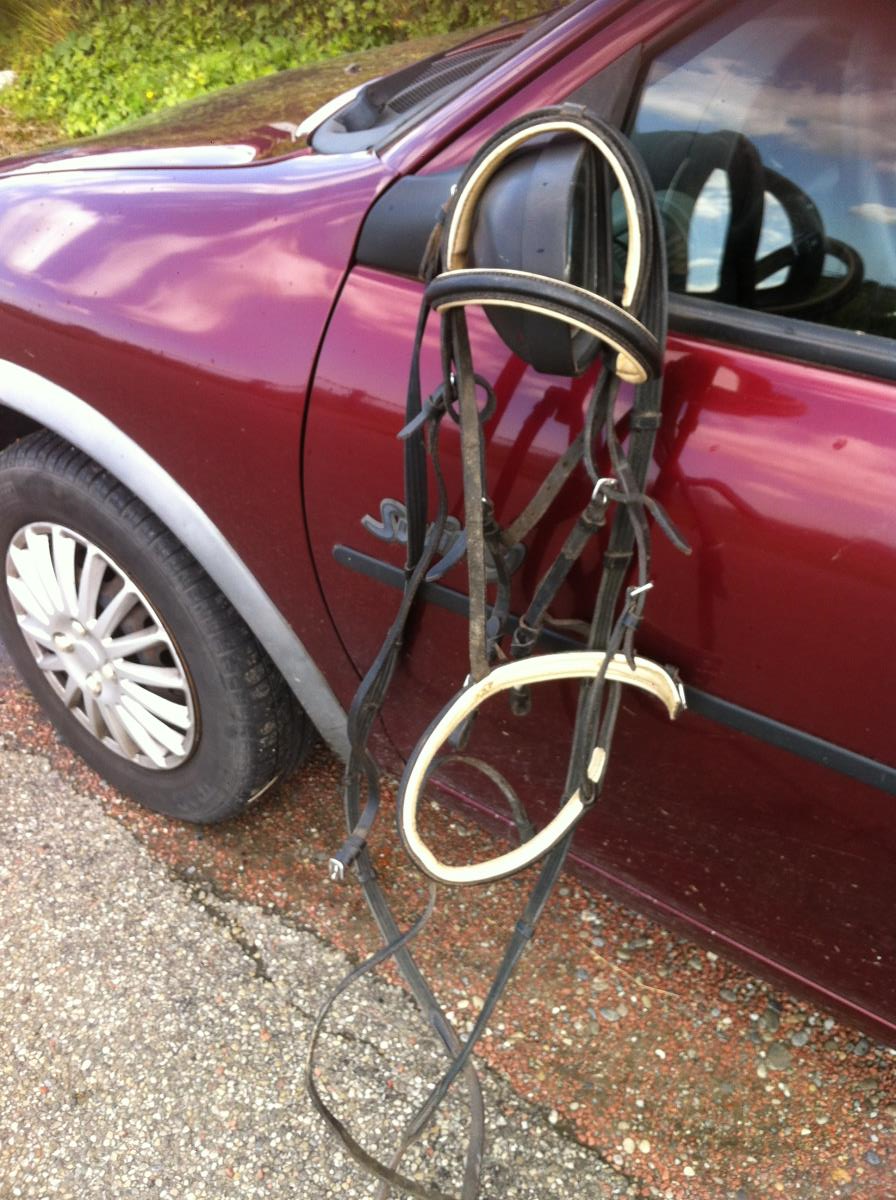 Te koop hoofdstel