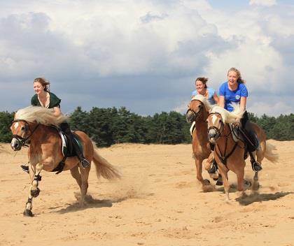 35% korting op Ruiterarrangement Human&Horse Hotel
