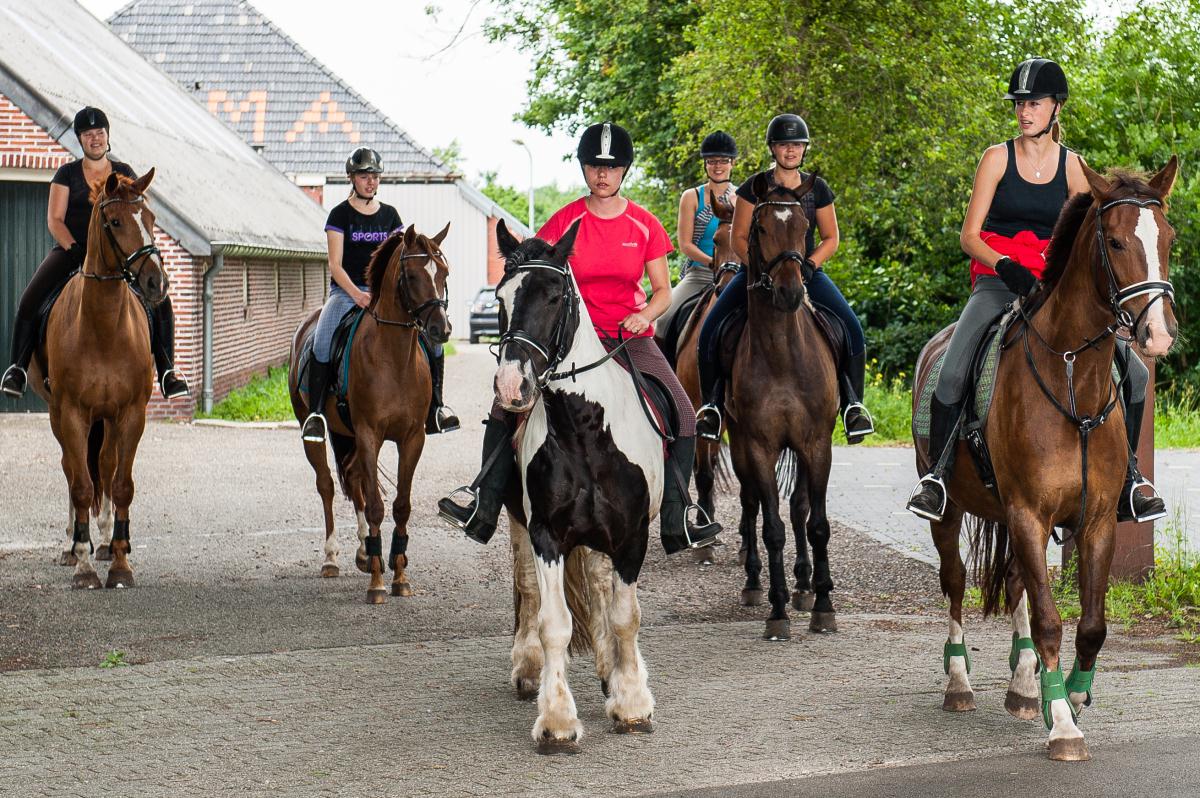 Ruime stallen en dagelijkse weidegang!