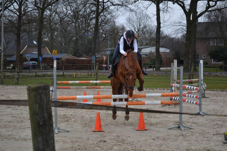 Serieuze amazone zoekt pony's