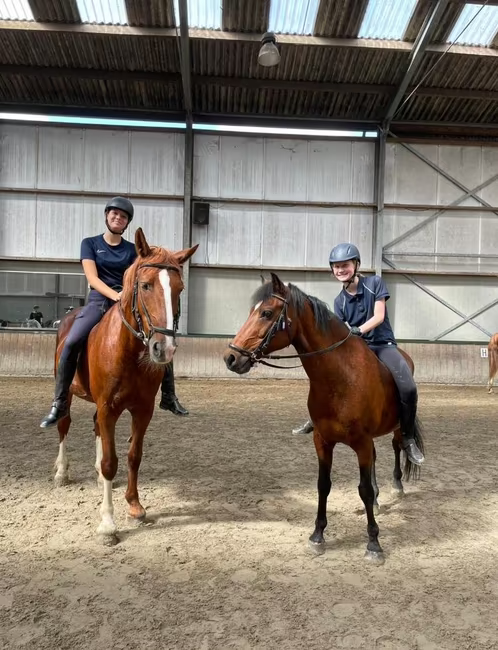 Verzorg/bijrijdpony gezocht!