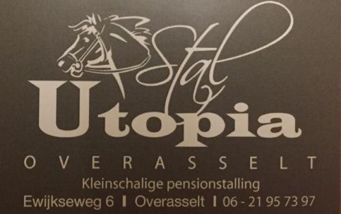 Pensionstalling/weidegang in Overasselt (Nijmegen)