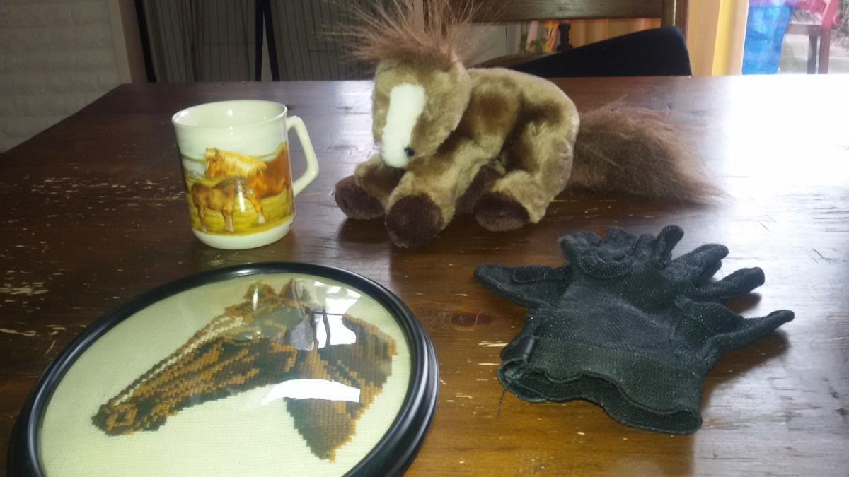 paardenspulletjes