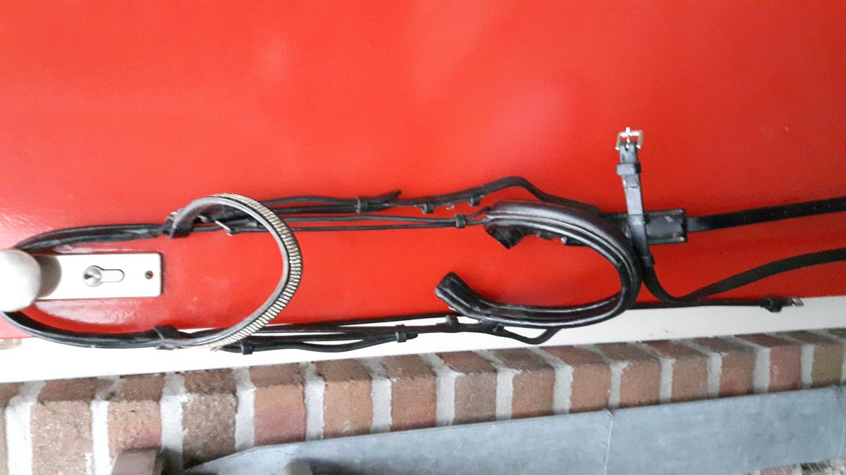 Zadel singel hoofdsel en borsttuig