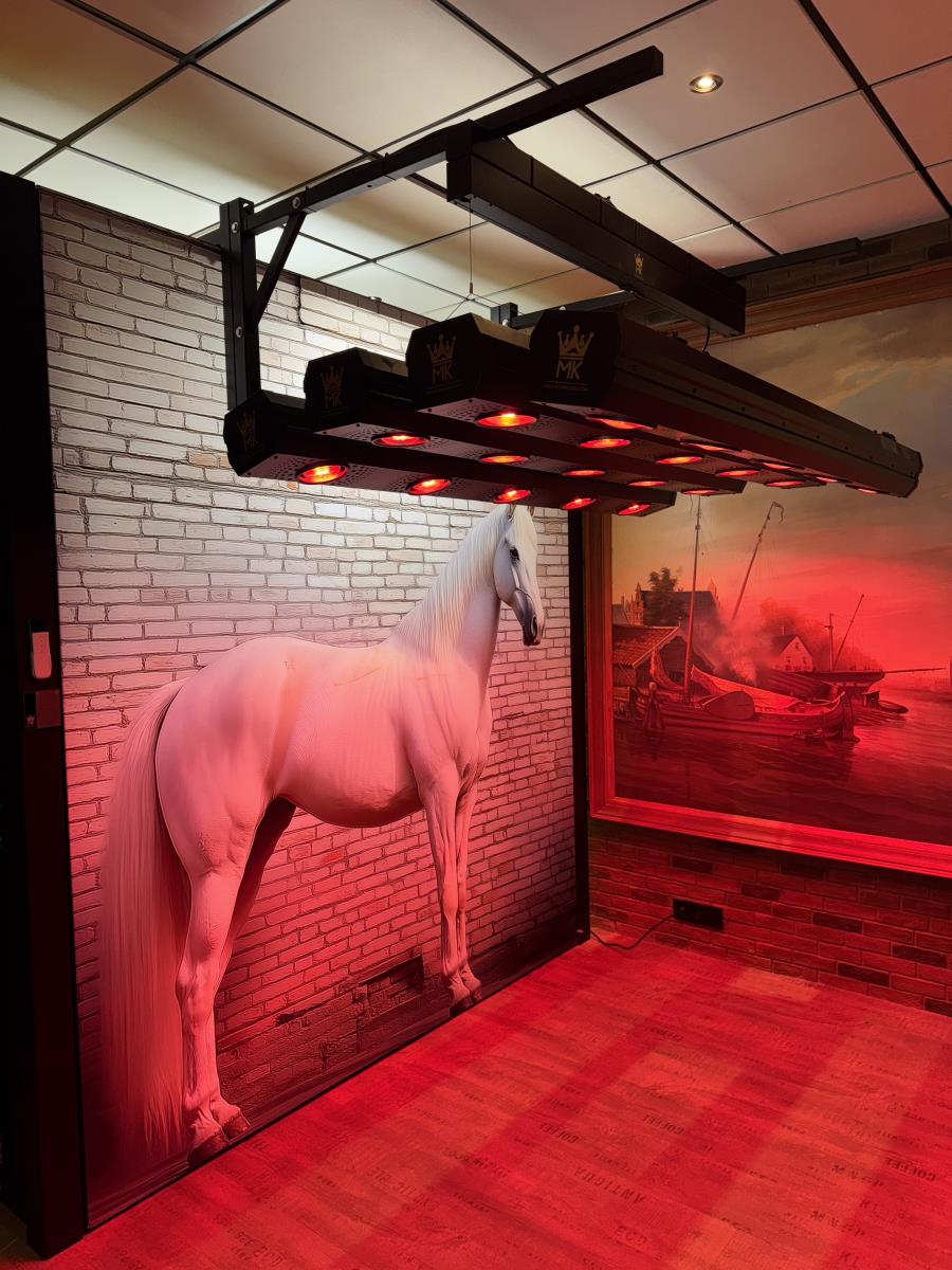 Solarium lift elektrisch bedienbaar