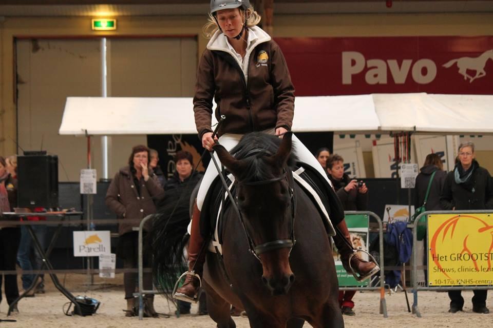 Cursus Parelli van Eef Veenstra met 50% korting! 
