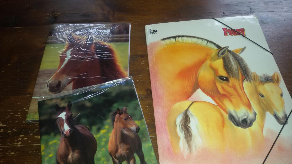 paardenspulletjes