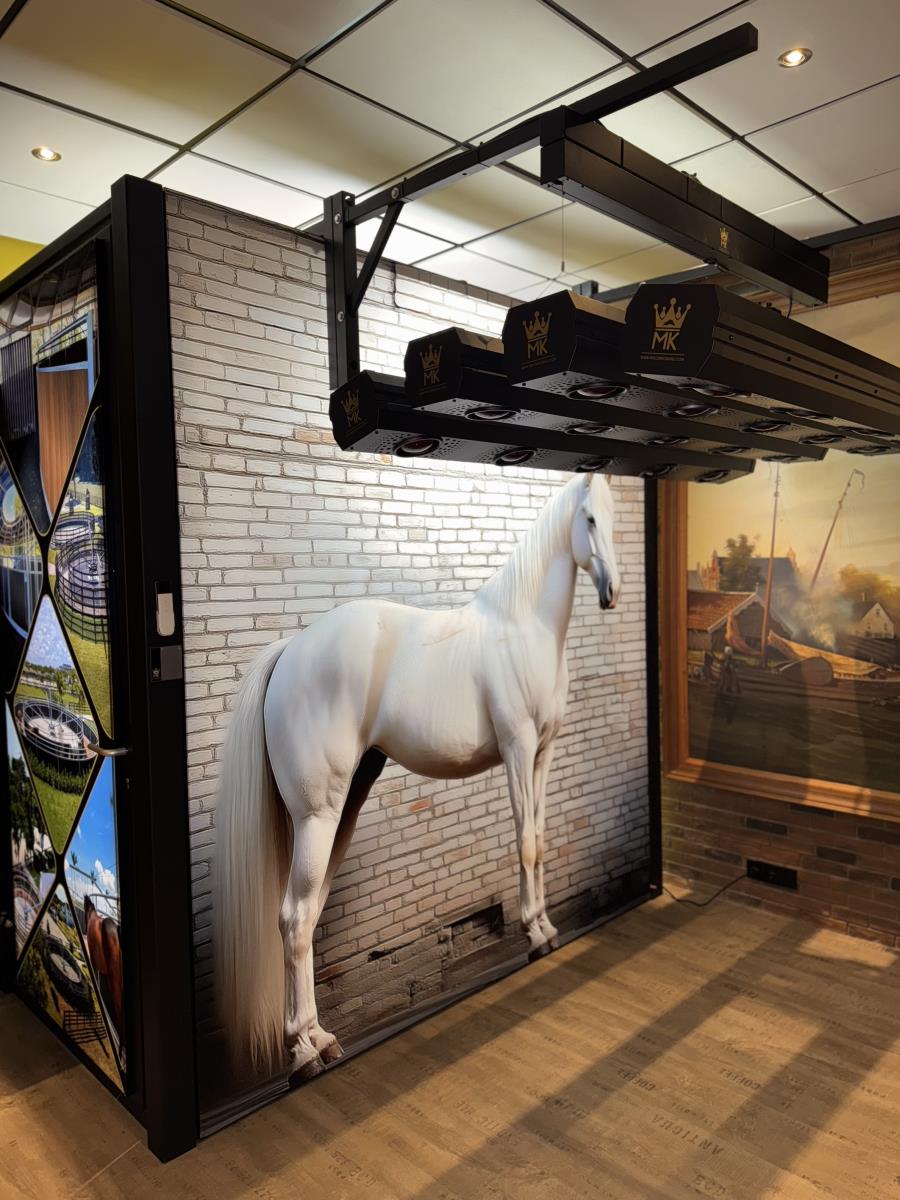 Solarium lift elektrisch bedienbaar