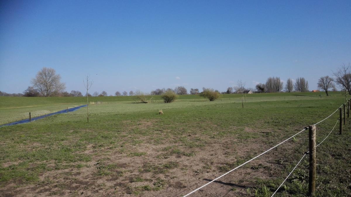 zomerweide te huur