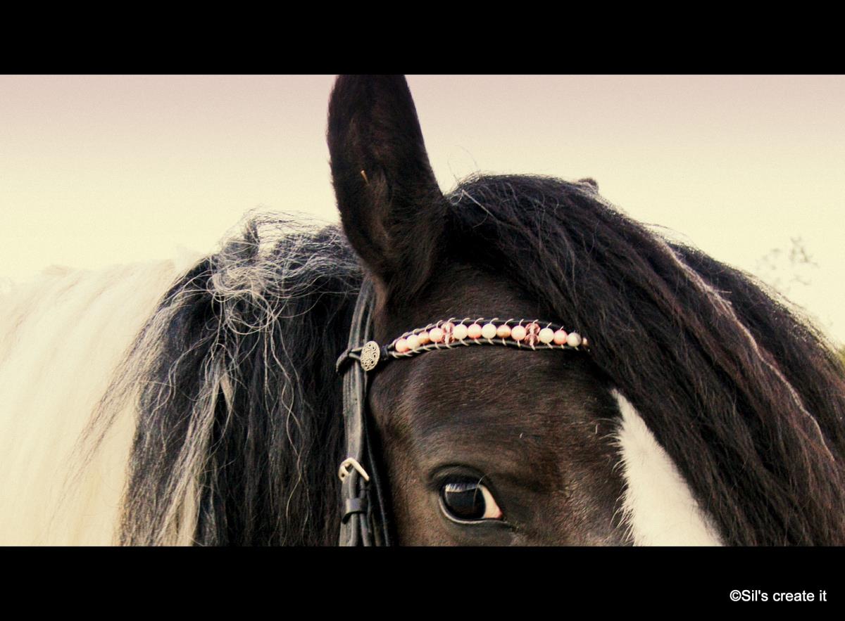 Handgemaakte frontriemen