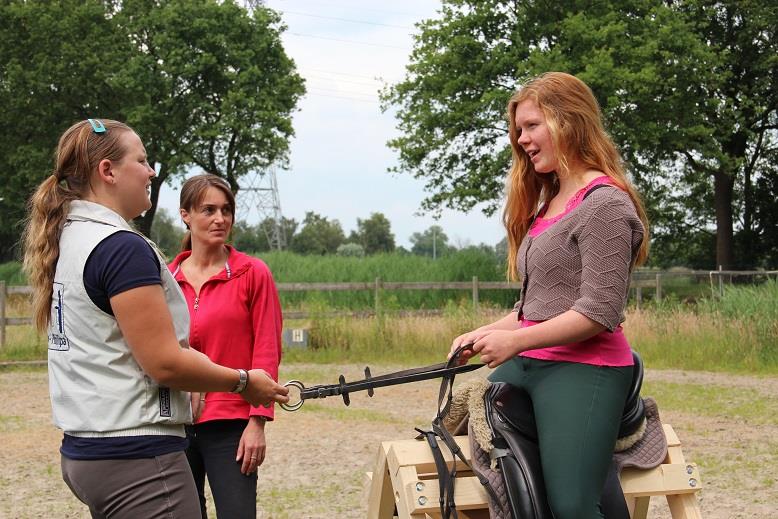 Workshop ruitertraining