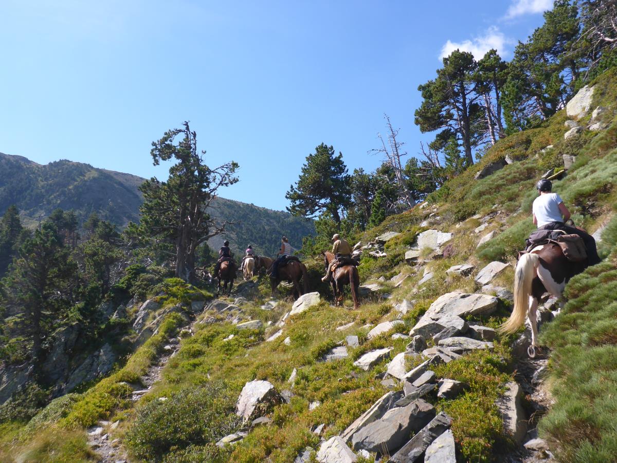 Paardrijvakanties in de Pyreneeën