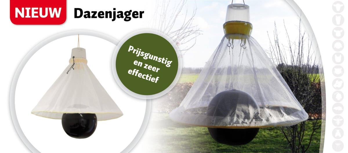 Dazen vanger