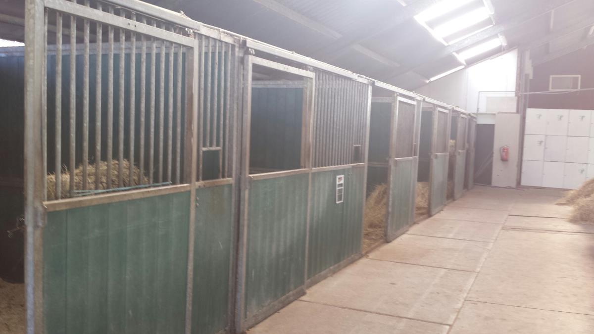 Ponykamp 2014 met je eigen pony