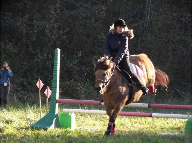 Gratis adoptie van mijn 7-jarige fjordpony