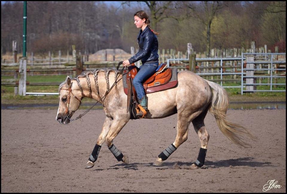 paarden zadelmak maken/trainen,lessen