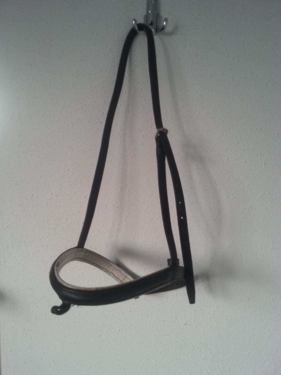 Hoofdstellen + frontriemen te koop