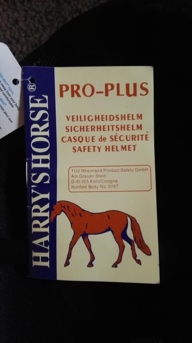 Nieuwe cap Harry's Horse