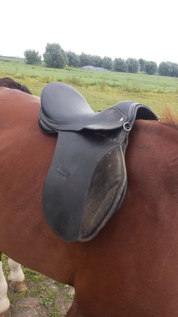 mooi zwart veelzijdigheids zadel 