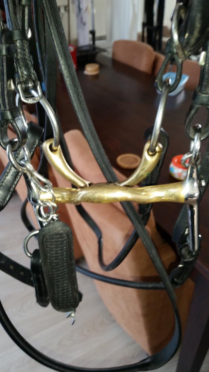 Passier Stang en Trens Hoofdstel incl Stang/trens