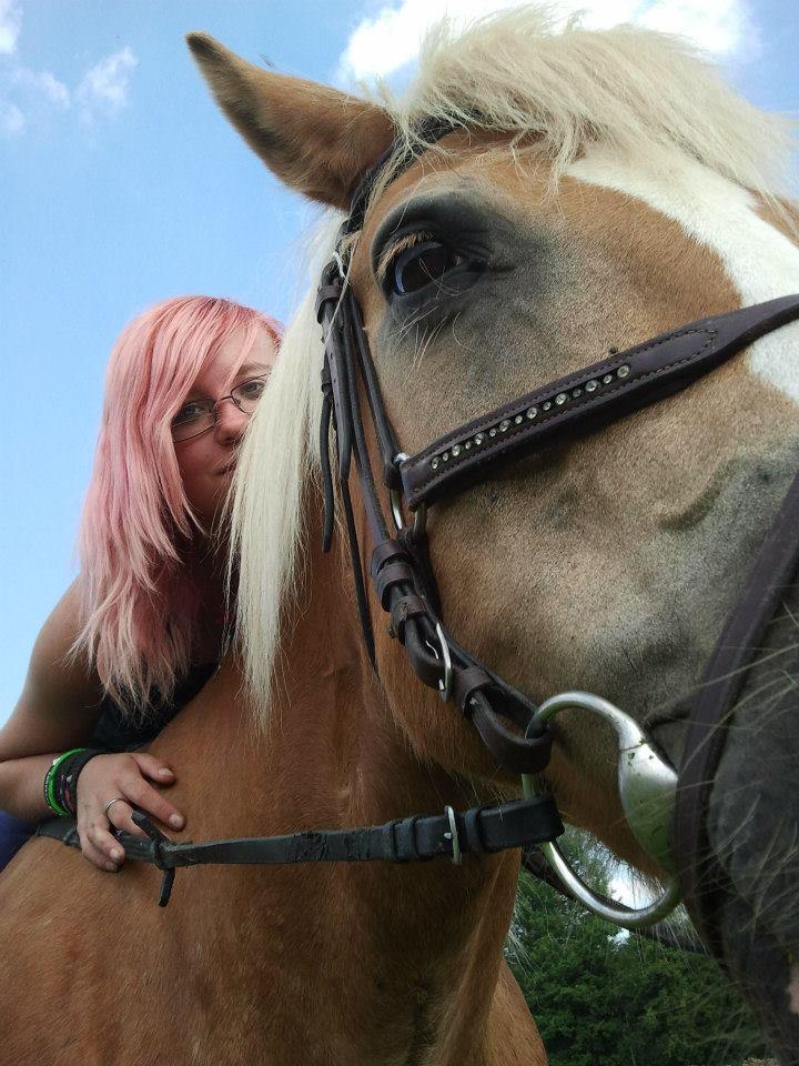 mexicaans hoofdstel full