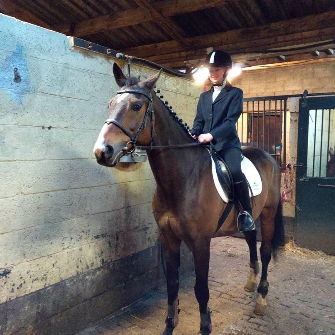 Bijrijder aangeboden/verzorg pony/paard gezocht