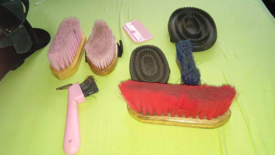 Paard rij spullen te koop