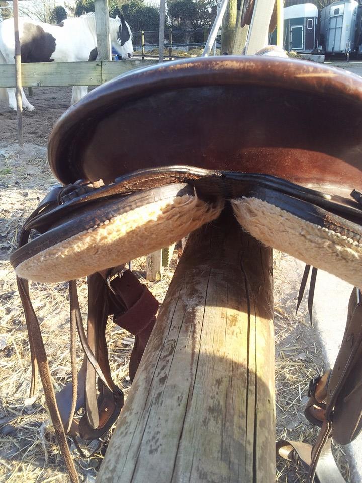 Endurance/westernzadel