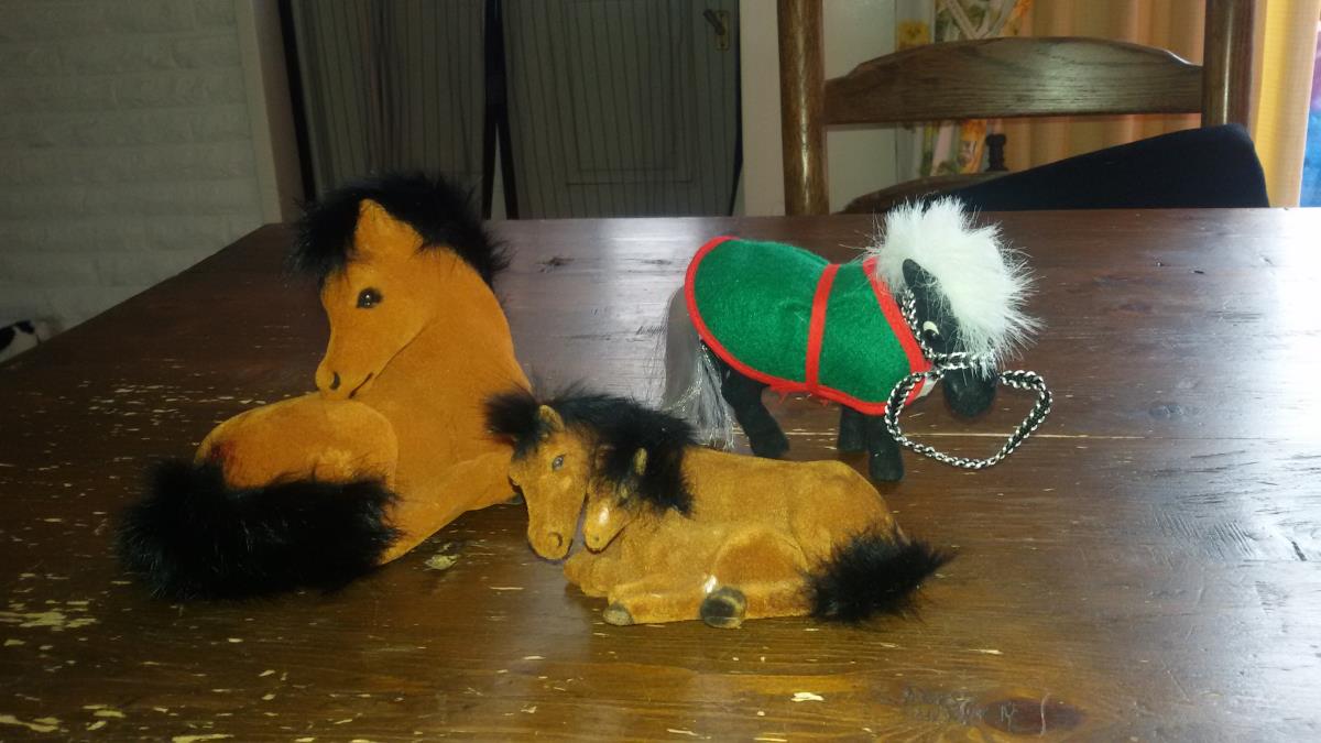 paardenspulletjes