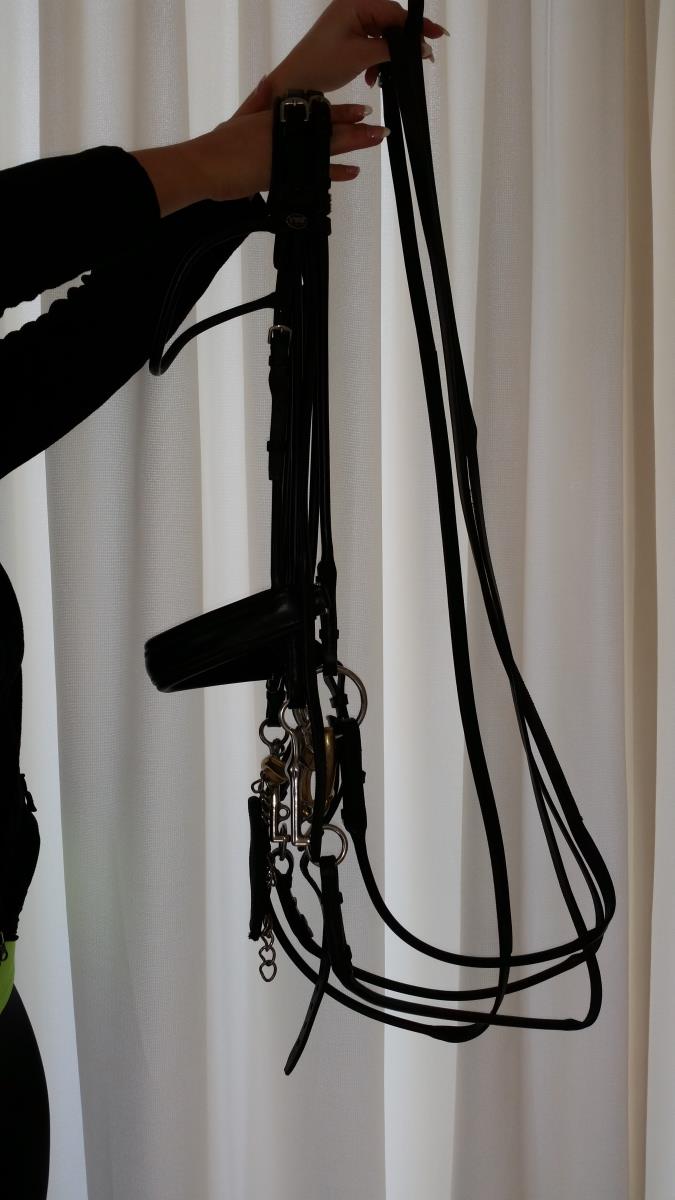 Passier Stang en Trens Hoofdstel incl Stang/trens