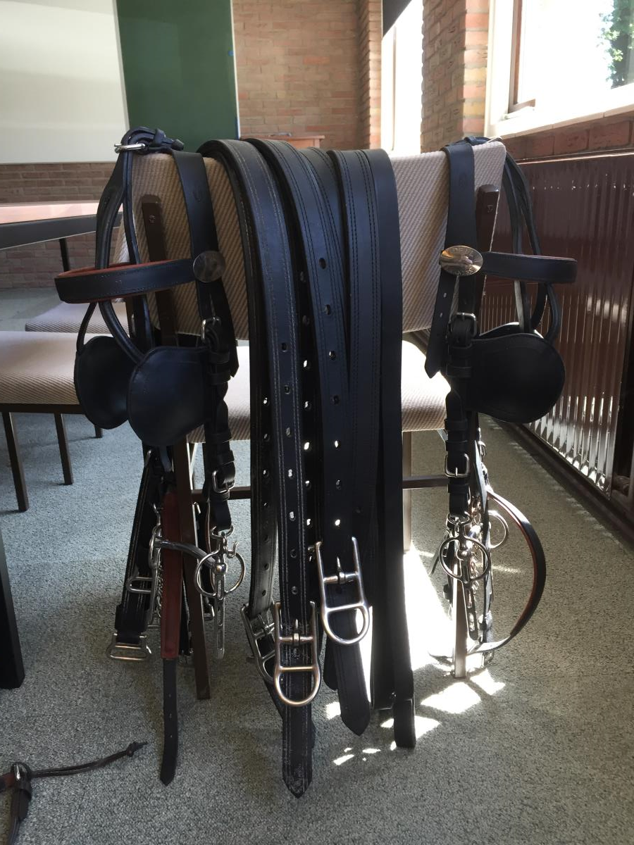 Twee span Ideal Cop Tuig z.g.a.n.