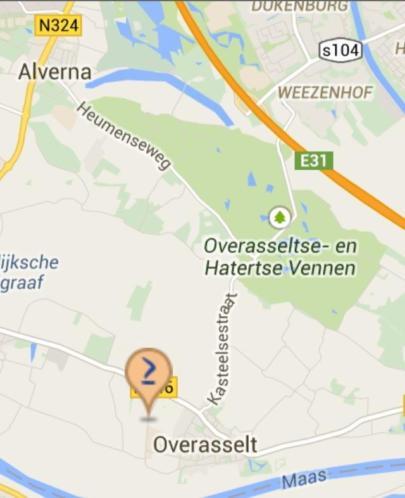Pensionstalling/weidegang in Overasselt (Nijmegen)