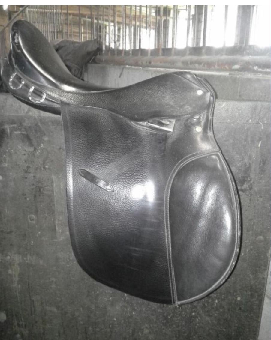 Kadet veelzijdigheidszadel te koop