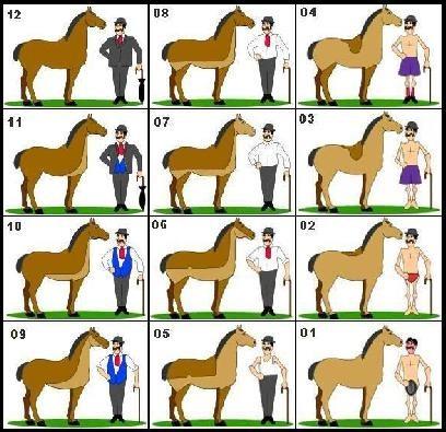 Professioneel Paardenscheerster