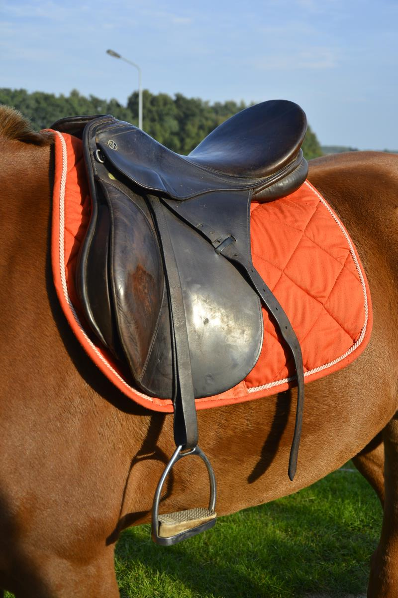 Leren Veelzijdigheidszadel Kieffer 17 Inch