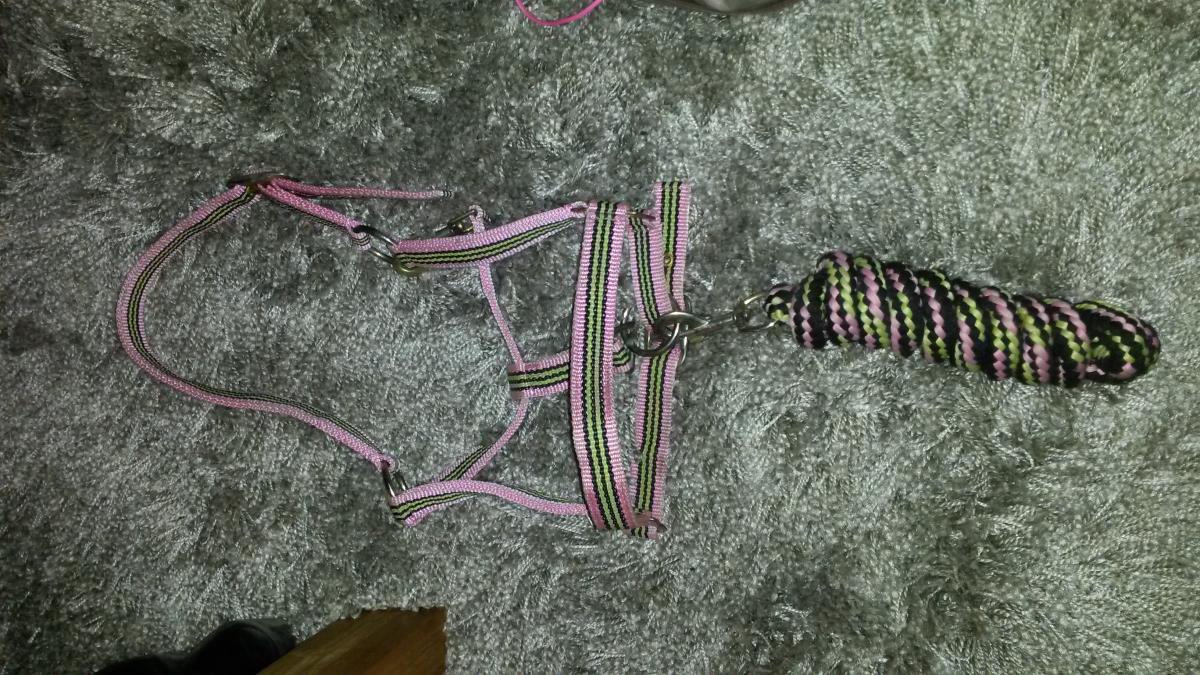 Halster maat cob/kleine full. ZGAN.