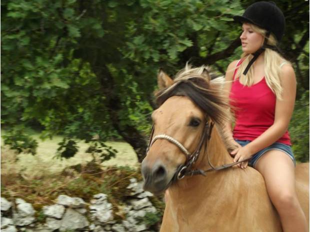 Gratis adoptie van mijn 7-jarige fjordpony