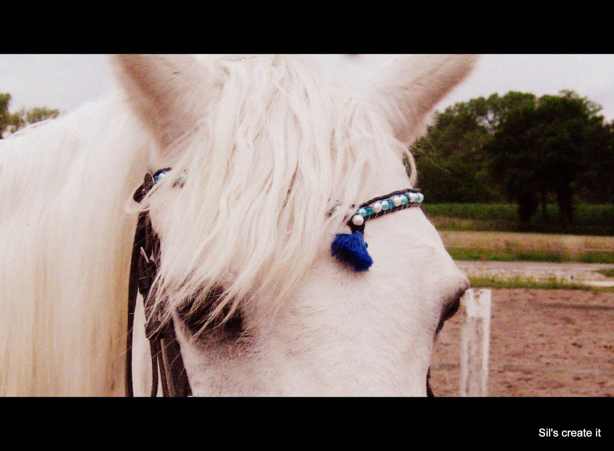 Handgemaakte frontriemen