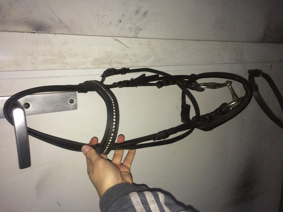 gloednieuw wintec zadel en andere toebehoren 