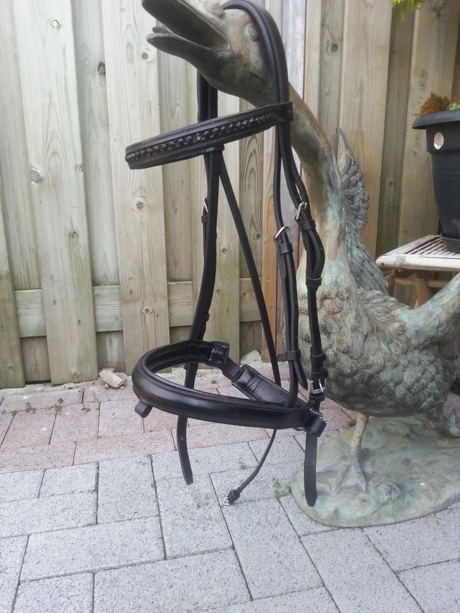 Hoofdstellen + frontriemen te koop